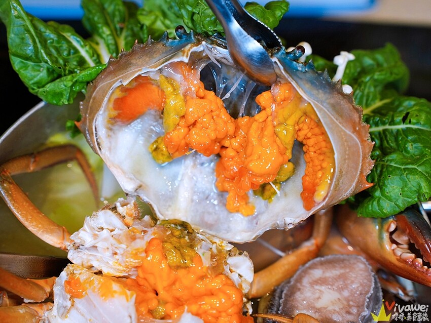 【蟳鮮屋 和牛·海鮮·健康鍋物】藝文特區高質感鍋物~水族箱現撈的活跳跳海鮮~打卡加碼送肉盤誠意十足~