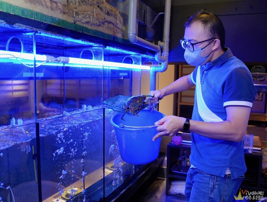 【蟳鮮屋 和牛·海鮮·健康鍋物】藝文特區高質感鍋物~水族箱現撈的活跳跳海鮮~打卡加碼送肉盤誠意十足~
