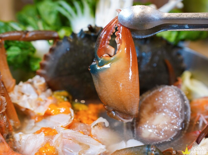 【蟳鮮屋 和牛·海鮮·健康鍋物】藝文特區高質感鍋物~水族箱現撈的活跳跳海鮮~打卡加碼送肉盤誠意十足~