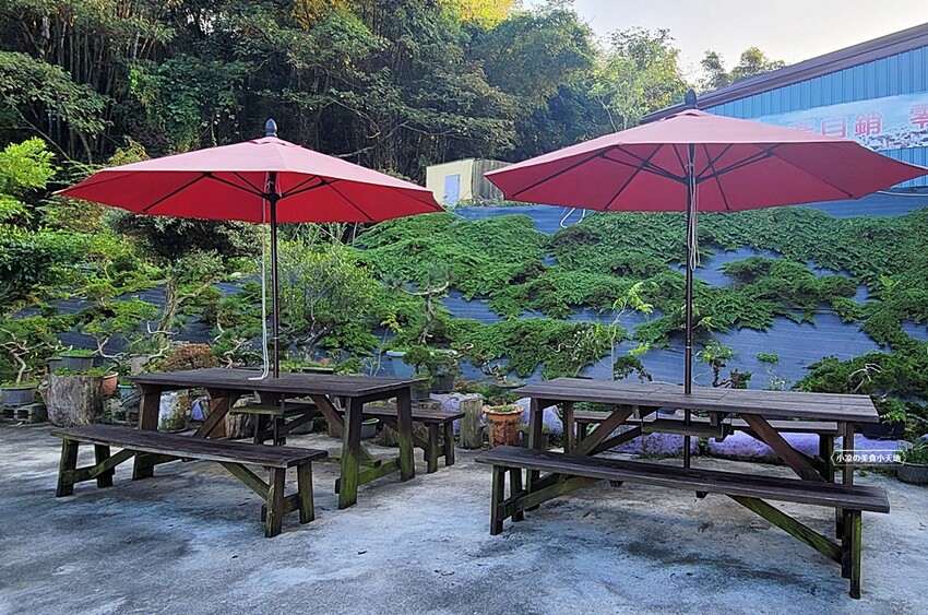 在地達人帶路！！Google 評論4.7高評價，新社必吃香菇大餐、還有熱炒類也不能錯過唷！！