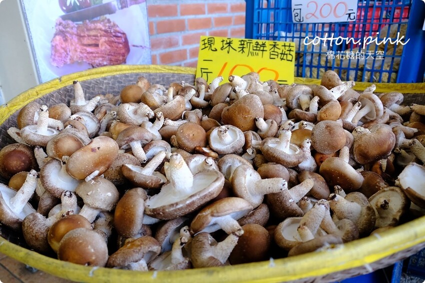 台中新社必吃推薦-頭嵙山香菇,菜單滿滿菇料理!熱炒美食也大推! - 棉花糖的天空