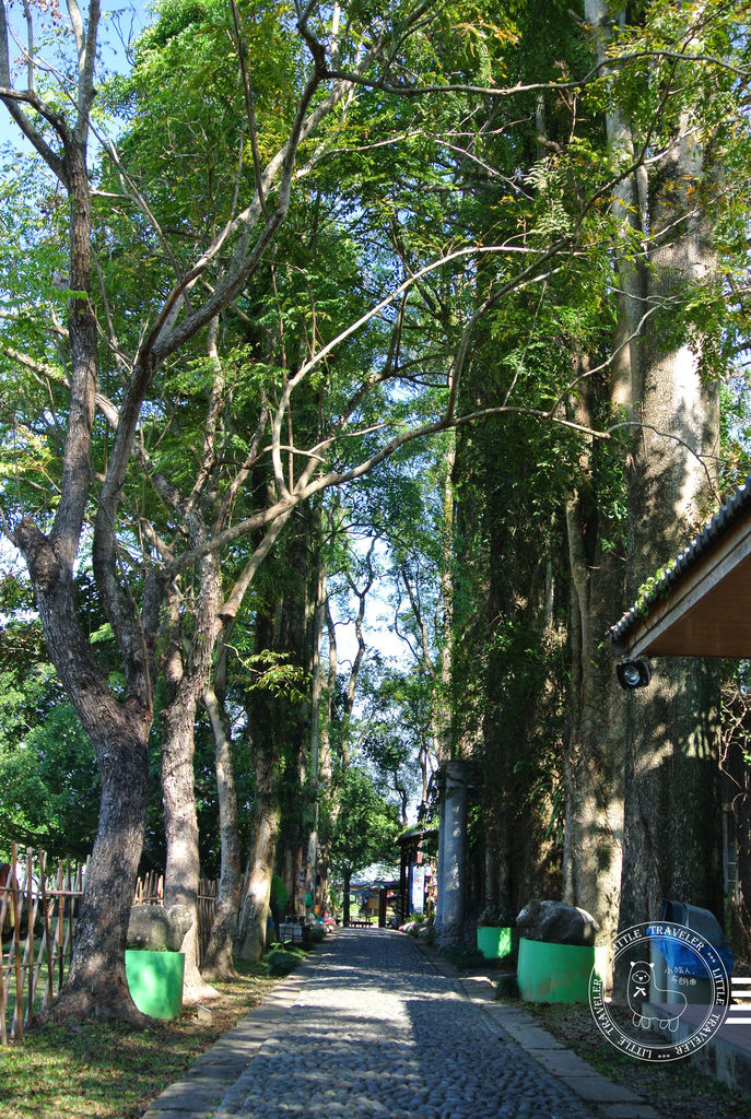 DSC_6922.jpg DSC_6922.jpg