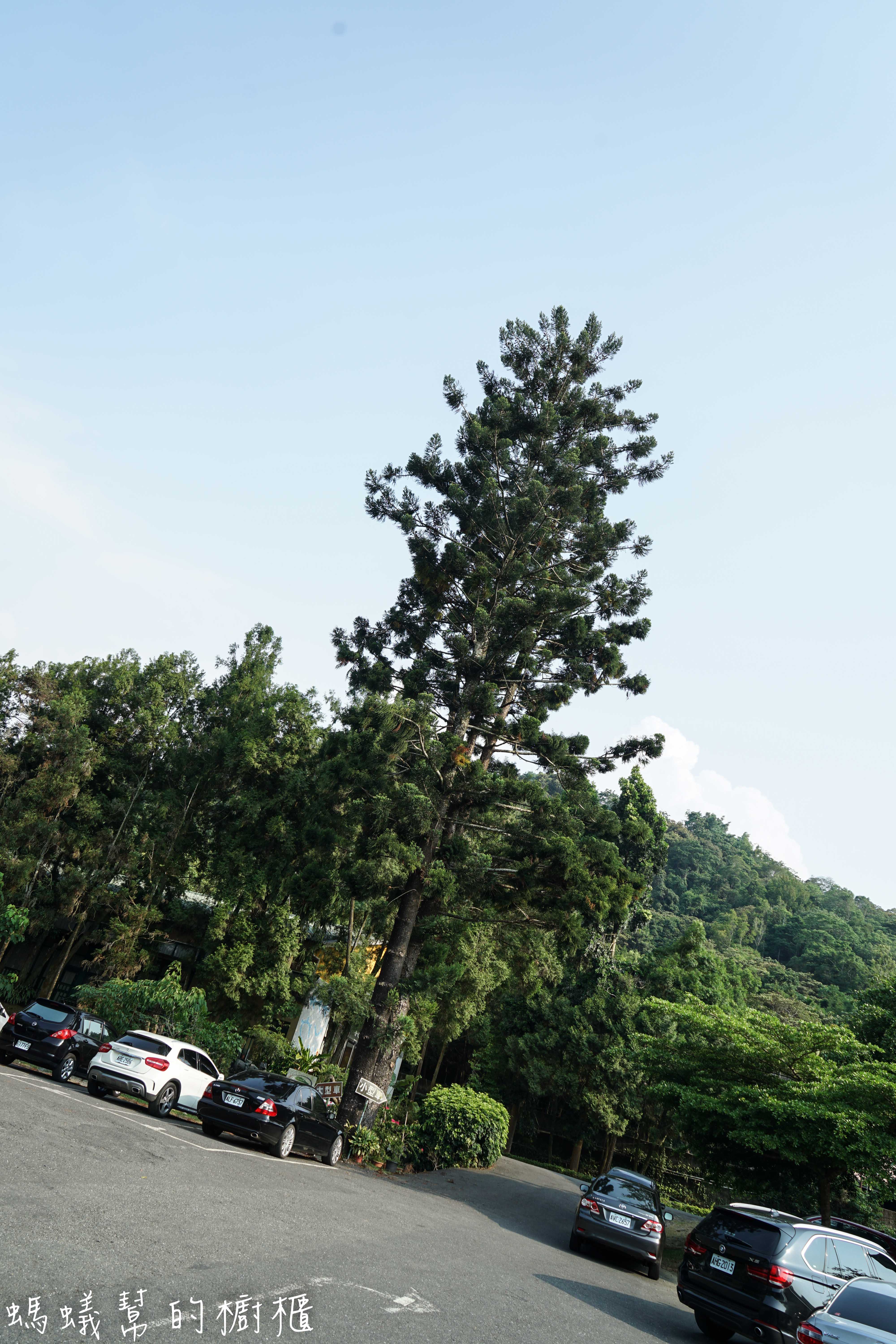 南投埔里牛耳藝術渡假村|日月潭埔里小木屋住宿推薦,漫步自然生態園區,欣賞藝術石雕、舒壓SPA館、雕之森樹屋餐廳,設備齊全的小木屋渡假推薦。 - 螞蟻幫的櫥櫃