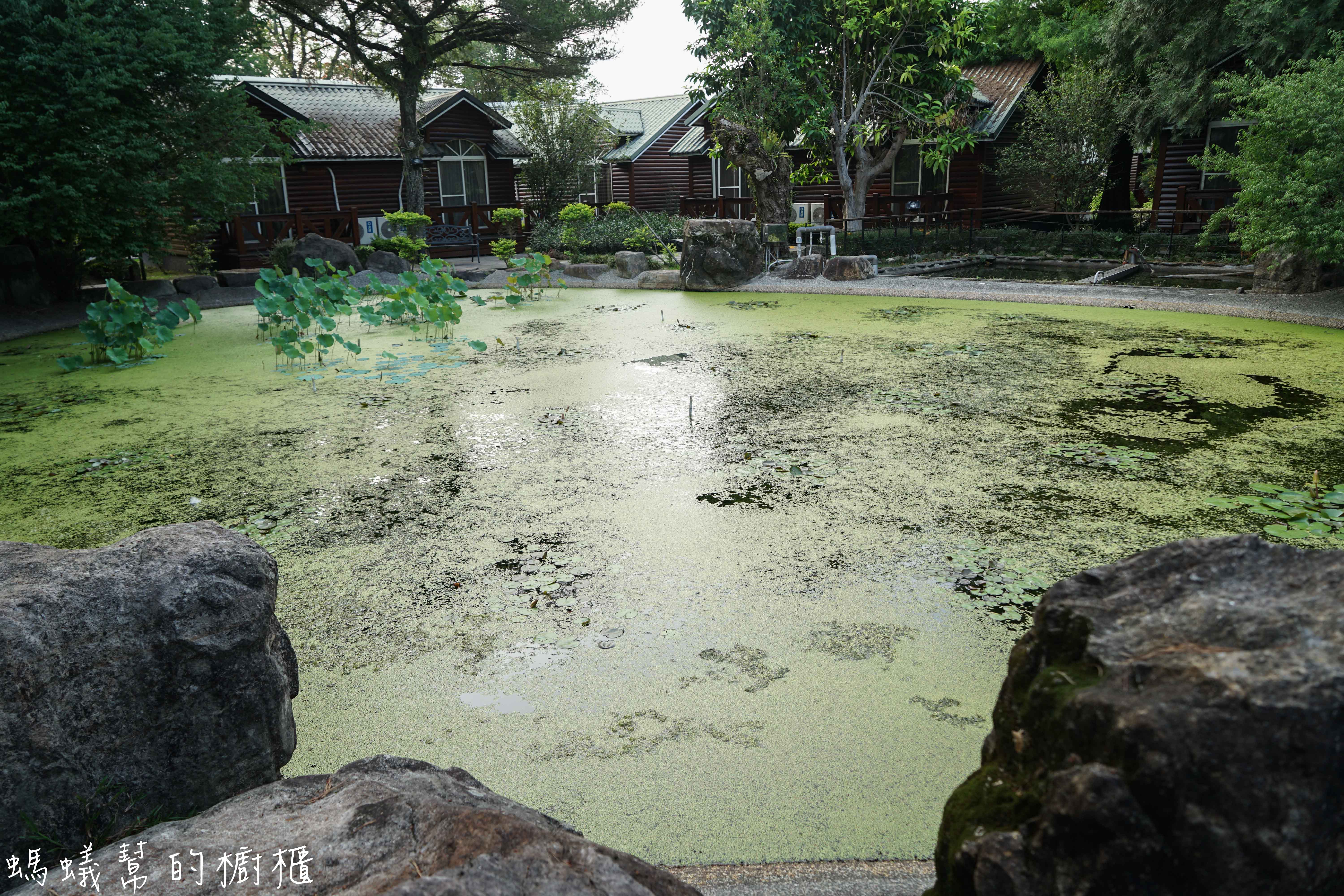 南投埔里牛耳藝術渡假村|日月潭埔里小木屋住宿推薦,漫步自然生態園區,欣賞藝術石雕、舒壓SPA館、雕之森樹屋餐廳,設備齊全的小木屋渡假推薦。 - 螞蟻幫的櫥櫃
