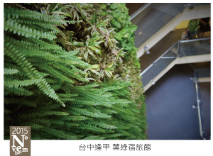 台中逢甲葉綠宿 台中逢甲葉綠宿