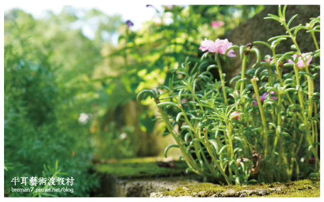 牛耳藝術渡假村-55 牛耳藝術渡假村-55