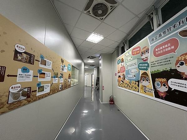 【台南玉井區】黃金蕎麥探索館～全台唯一的黃金蕎麥觀光工廠，蕎