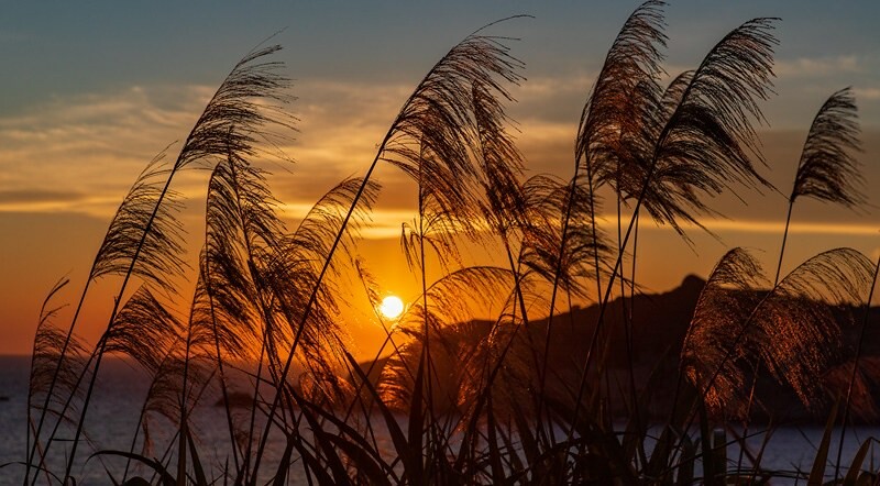 【馬祖東引美食】鹹味島合作社.忠誠門後的東引藍.魚露工寮老屋大翻身.東引最佳發呆地點