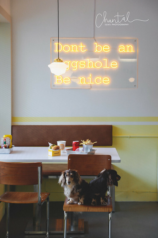 _J6A2826-2 拷貝 _J6A2826-2 拷貝