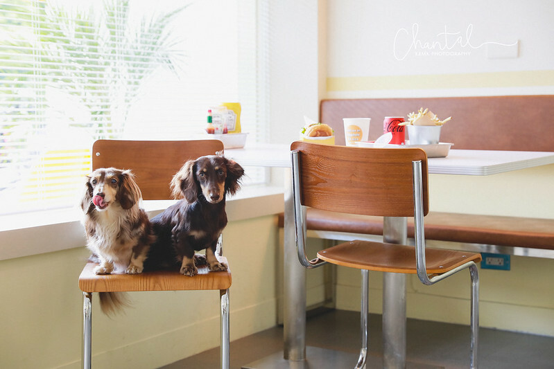 _J6A2864-2 拷貝 _J6A2864-2 拷貝