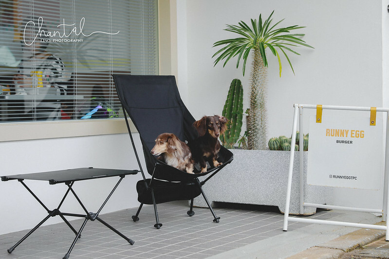 _J6A2785-2 拷貝 _J6A2785-2 拷貝