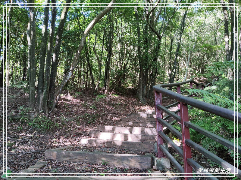 碧山露營場-台北/NO.47露(2022.07.23-24)