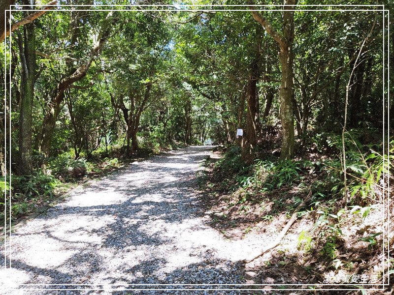 碧山露營場-台北/NO.47露(2022.07.23-24)