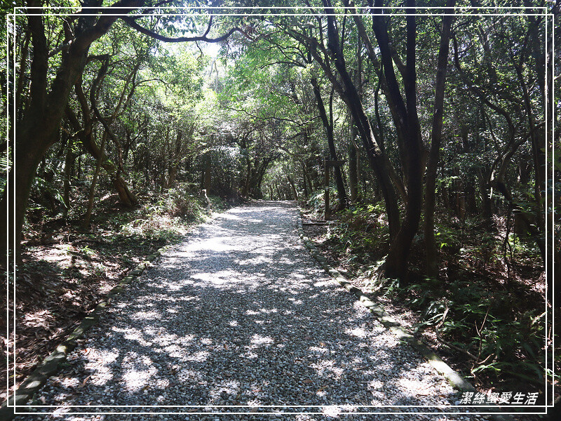 碧山露營場-台北/NO.47露(2022.07.23-24)