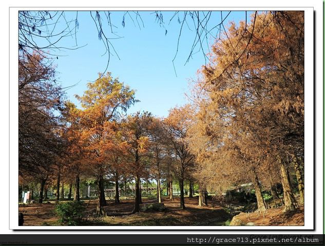 羅東運動公園 (35)