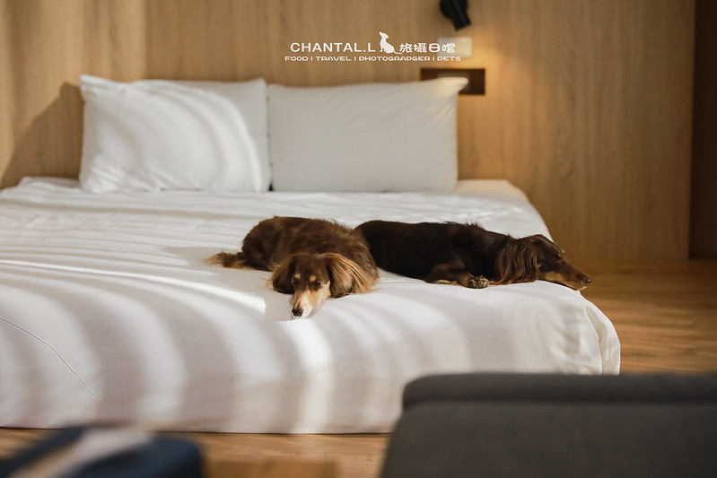 1J6A9915-2拷貝 拷貝