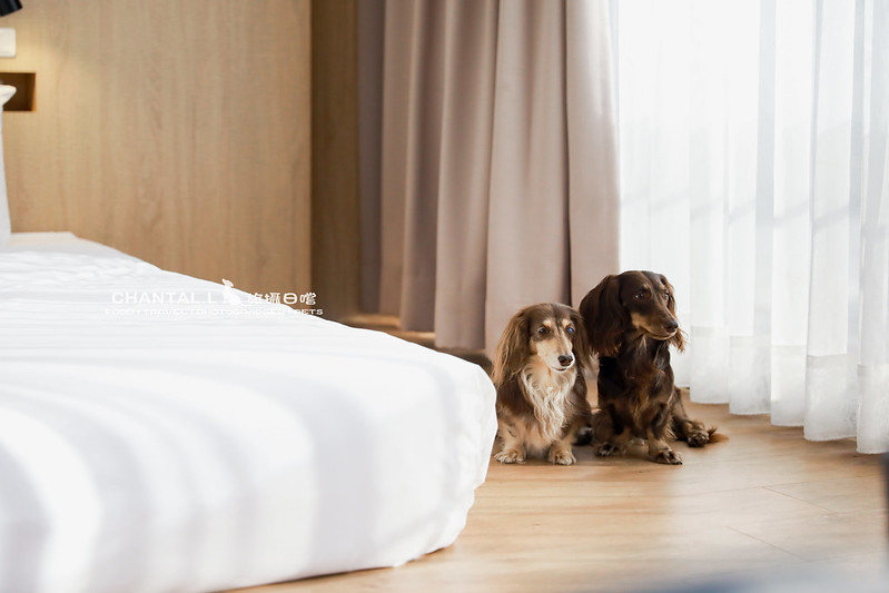 1J6A9875-2拷貝 拷貝 2