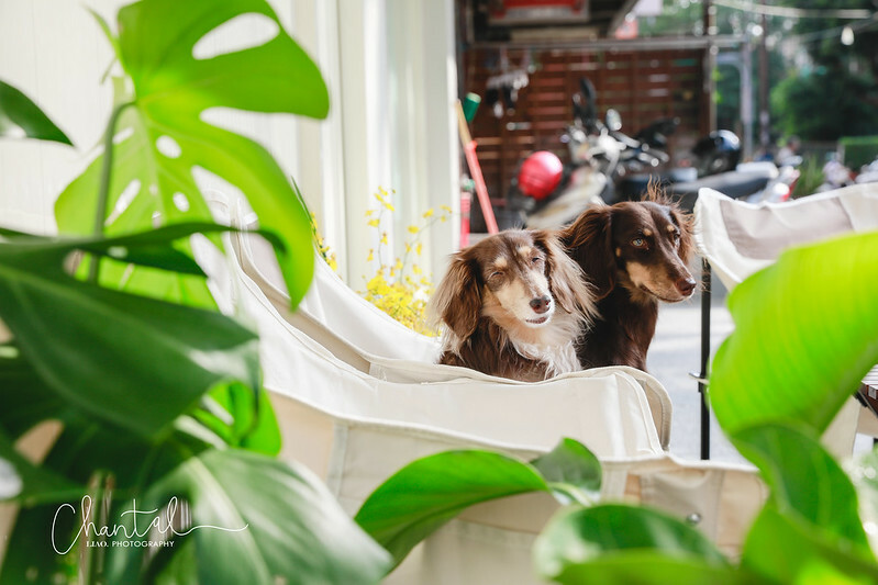 _J6A7284-2 拷貝 _J6A7284-2 拷貝