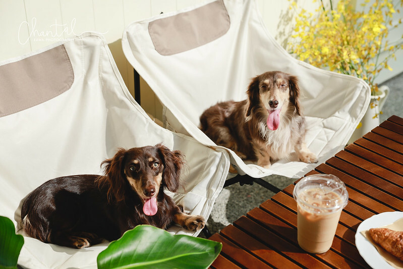 _J6A7340-2 拷貝 _J6A7340-2 拷貝