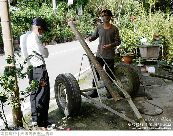 天鵝湖自然生活園-33.jpg 天鵝湖自然生活園-33.jpg