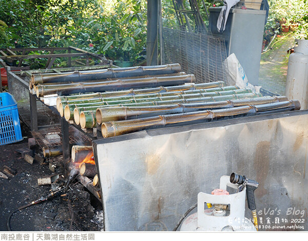 天鵝湖自然生活園-10.jpg 天鵝湖自然生活園-10.jpg