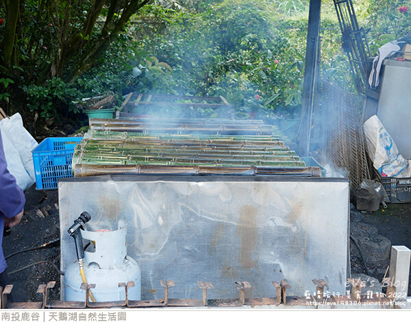 天鵝湖自然生活園-11.jpg 天鵝湖自然生活園-11.jpg