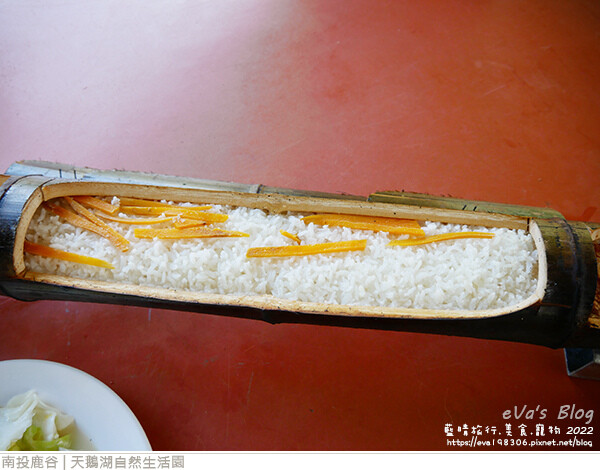 天鵝湖自然生活園-23.jpg 天鵝湖自然生活園-23.jpg