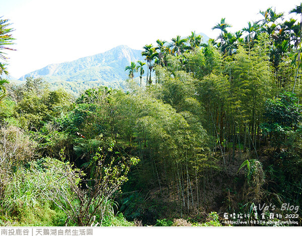 天鵝湖自然生活園-07.jpg 天鵝湖自然生活園-07.jpg