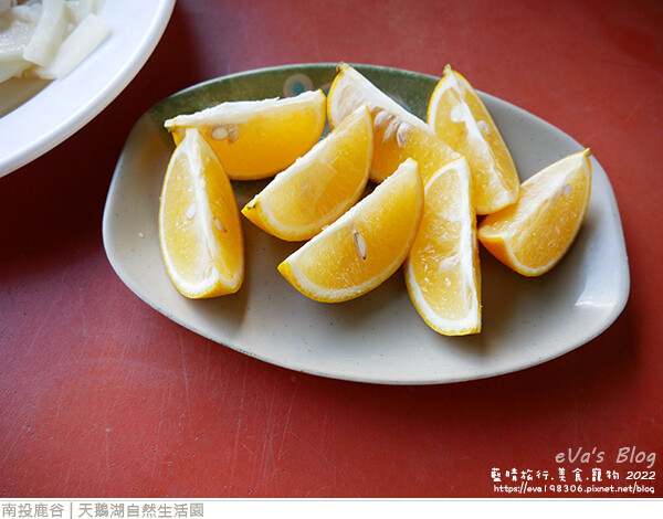 天鵝湖自然生活園-29.jpg 天鵝湖自然生活園-29.jpg