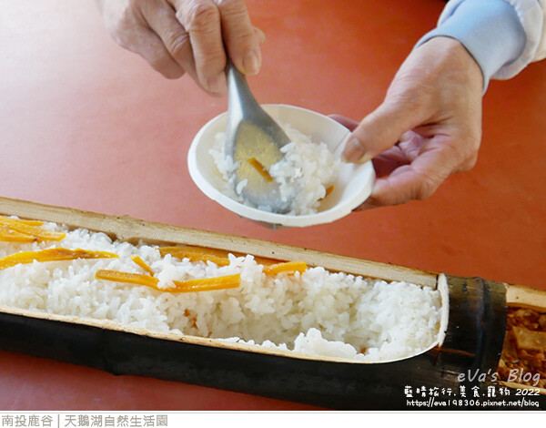 天鵝湖自然生活園-24.jpg 天鵝湖自然生活園-24.jpg