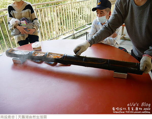 天鵝湖自然生活園-15.jpg 天鵝湖自然生活園-15.jpg