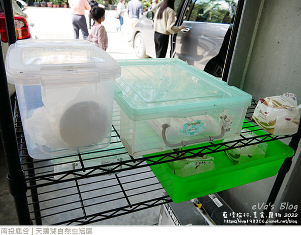 天鵝湖自然生活園-08.jpg 天鵝湖自然生活園-08.jpg