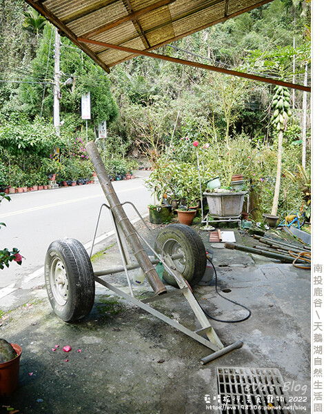 天鵝湖自然生活園-31.jpg 天鵝湖自然生活園-31.jpg