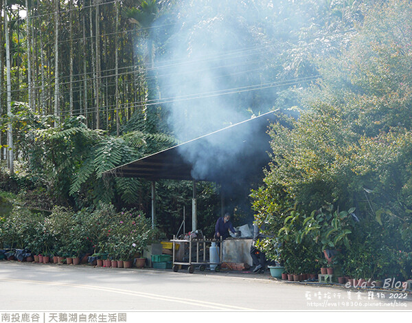 天鵝湖自然生活園-09.jpg 天鵝湖自然生活園-09.jpg