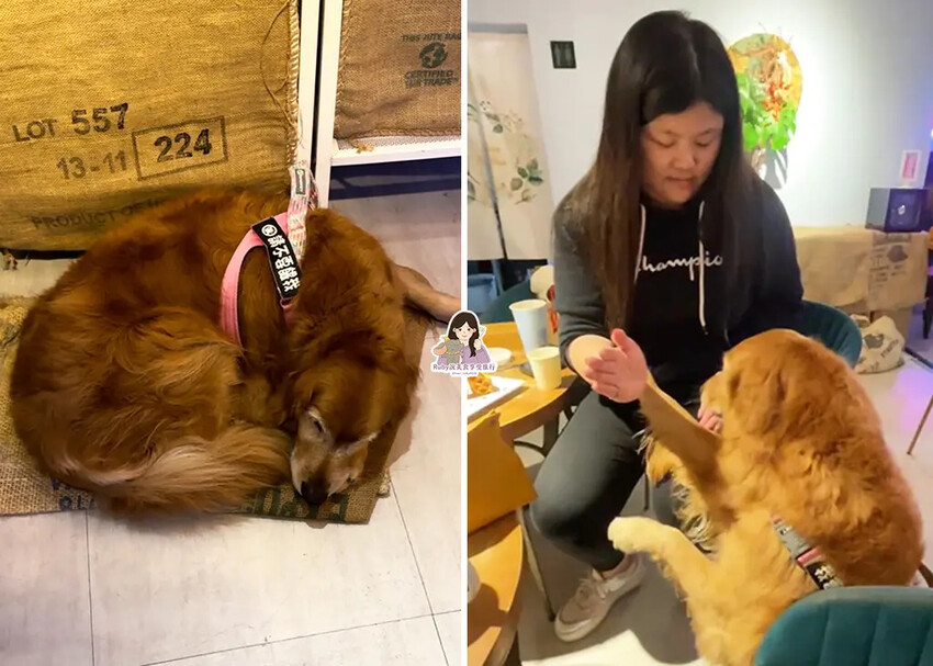 【基隆咖啡廳】啾啾咖啡-外木山附菜單,鬆餅現點現烤,香濃又酥 【基隆咖啡廳】啾啾咖啡-外木山附菜單,鬆餅現點現烤,香濃又酥