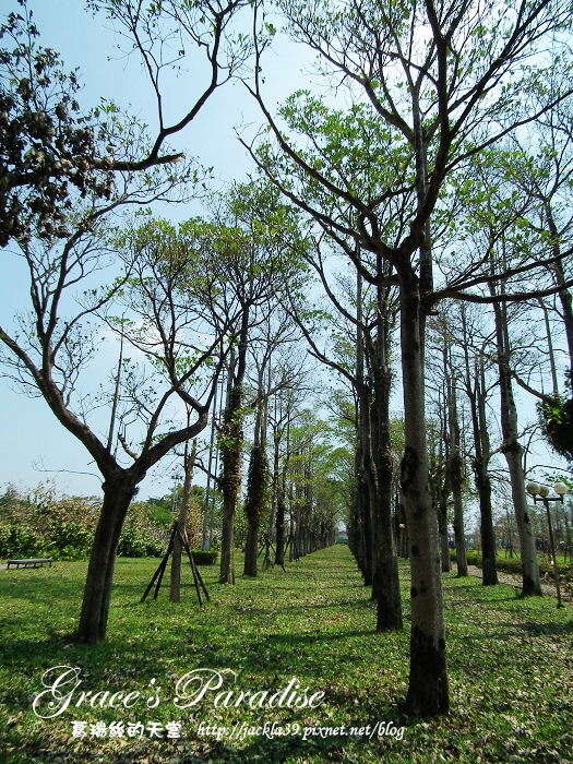 nEO_IMG_DSCF0947.jpg nEO_IMG_DSCF0947.jpg