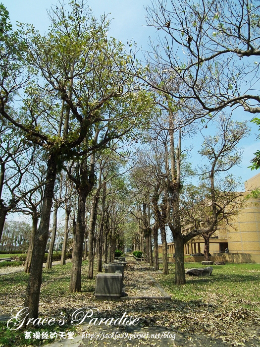 nEO_IMG_DSCF0944.jpg nEO_IMG_DSCF0944.jpg