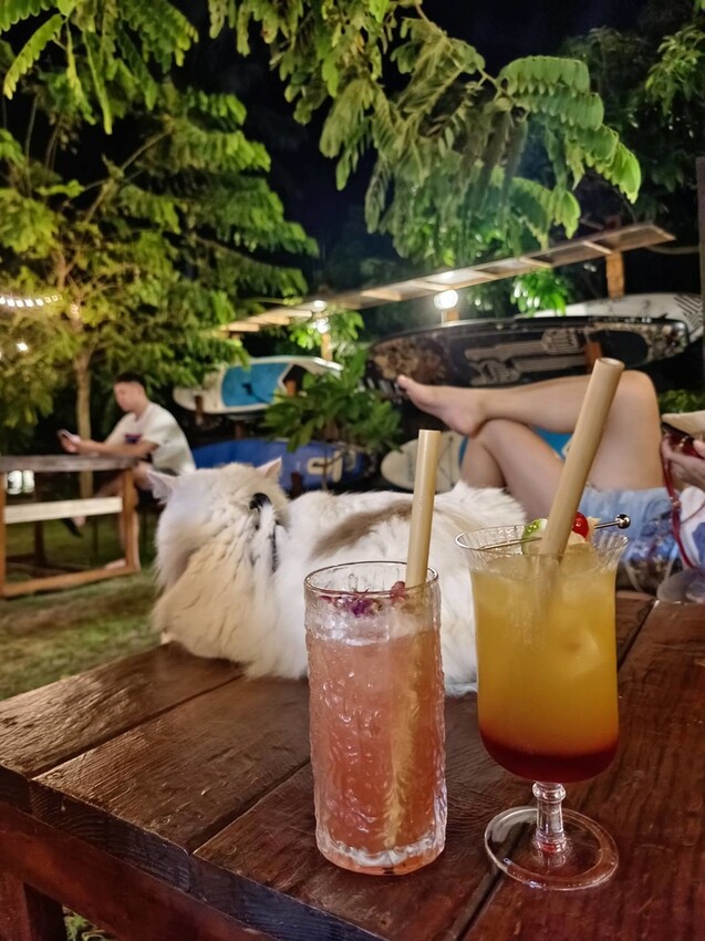 366738.jpg - 【屏東.小琉球】寵物友善戶外酒吧。靠岸Tea&bar有三張躺椅超悠閒夜生活。來小琉球喝酒吧