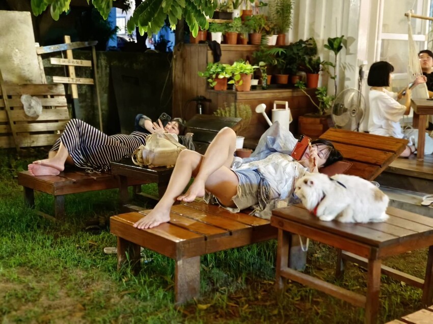 363718.jpg - 【屏東.小琉球】寵物友善戶外酒吧。靠岸Tea&bar有三張躺椅超悠閒夜生活。來小琉球喝酒吧