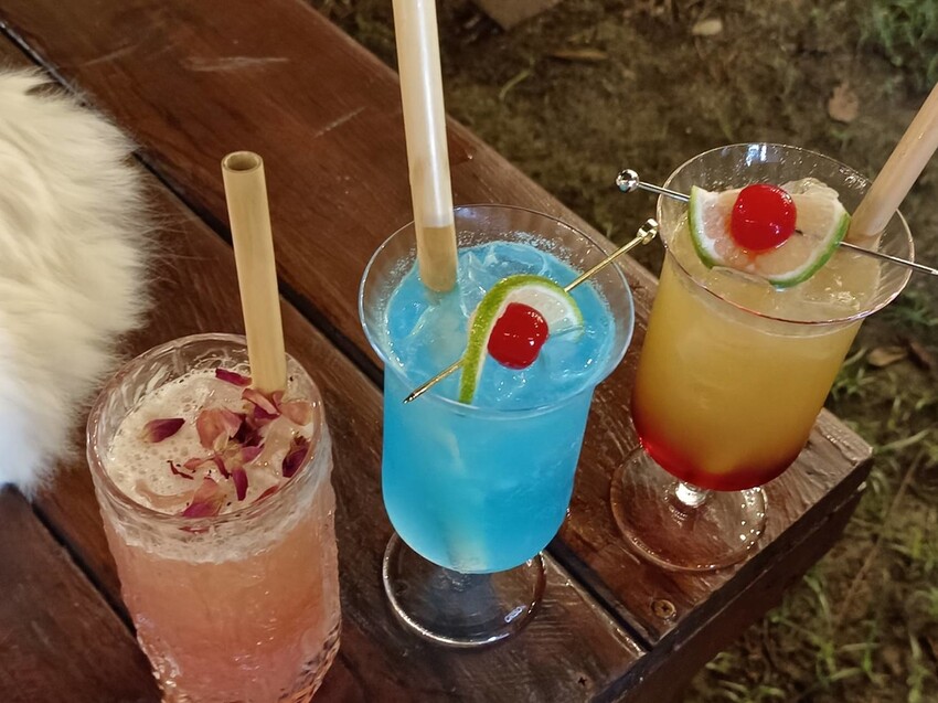 366734.jpg - 【屏東.小琉球】寵物友善戶外酒吧。靠岸Tea&bar有三張躺椅超悠閒夜生活。來小琉球喝酒吧