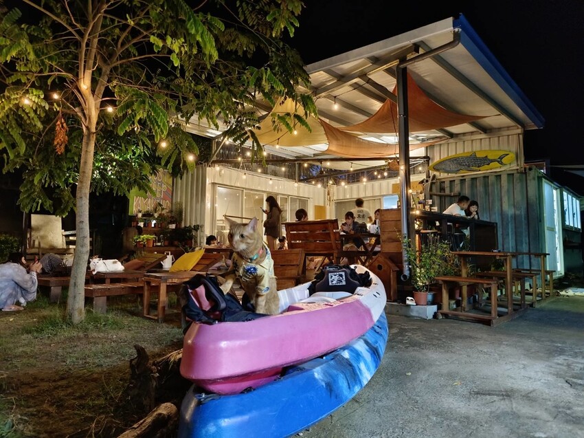 366744.jpg - 【屏東.小琉球】寵物友善戶外酒吧。靠岸Tea&bar有三張躺椅超悠閒夜生活。來小琉球喝酒吧