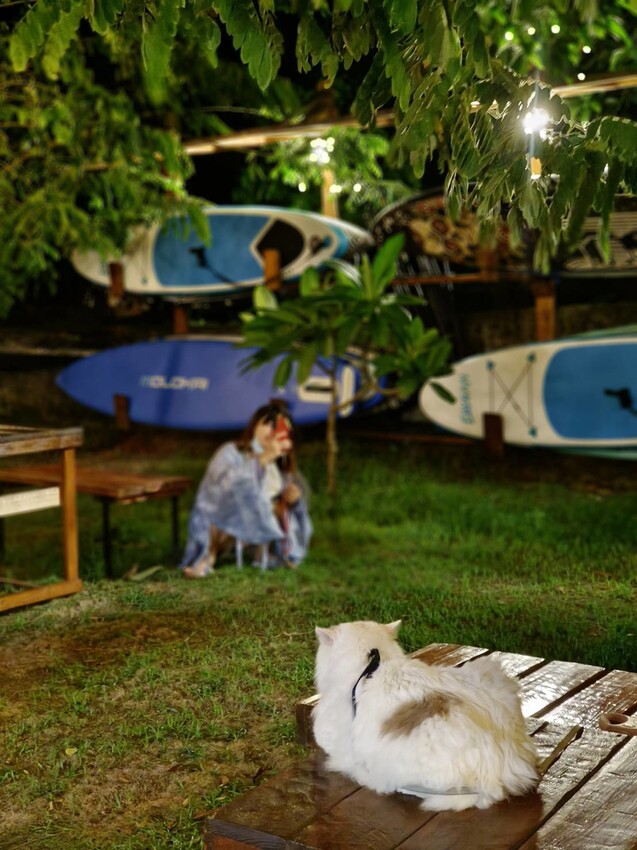 366745.jpg - 【屏東.小琉球】寵物友善戶外酒吧。靠岸Tea&bar有三張躺椅超悠閒夜生活。來小琉球喝酒吧