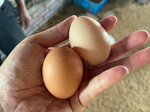 LINE_ALBUM_2022529 _3_220529_11.jpg