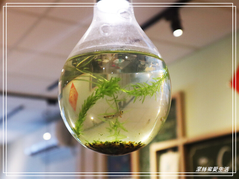 慢步手作 咖啡-桃園/比司吉大推薦!手作烘焙x韓式鹹食.來一個悠閒午後~寵物友善咖啡 - 潔絲蜜愛生活