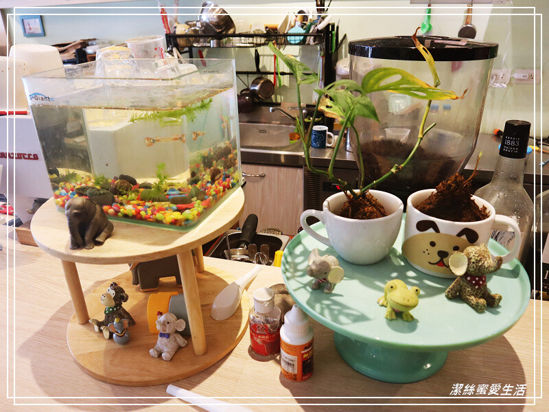 慢步手作 咖啡-桃園/比司吉大推薦!手作烘焙x韓式鹹食.來一個悠閒午後~寵物友善咖啡 - 潔絲蜜愛生活