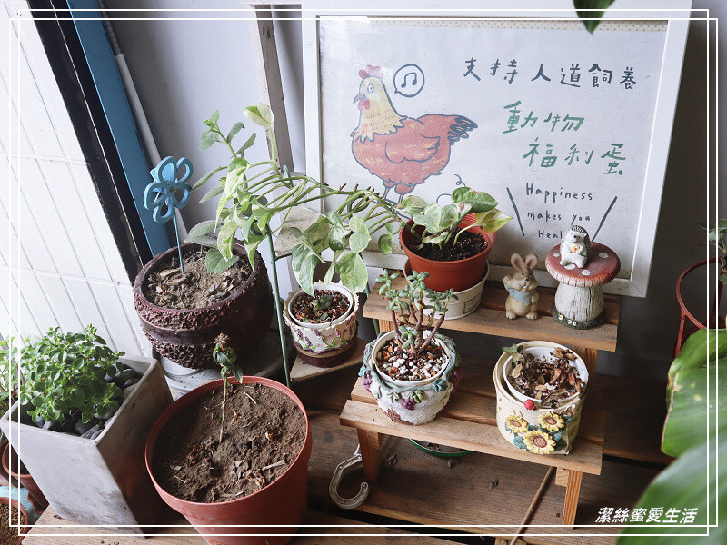 慢步手作 咖啡-桃園/比司吉大推薦!手作烘焙x韓式鹹食.來一個悠閒午後~寵物友善咖啡 - 潔絲蜜愛生活