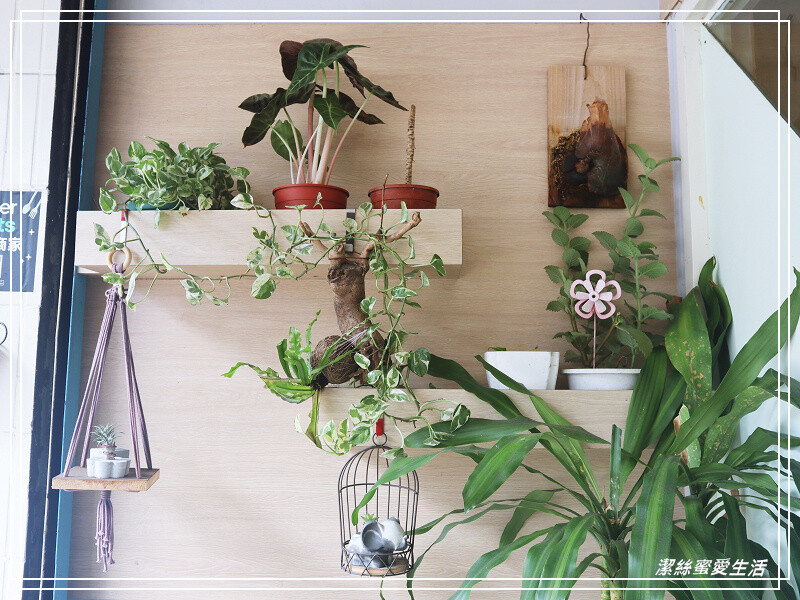 慢步手作 咖啡-桃園/比司吉大推薦!手作烘焙x韓式鹹食.來一個悠閒午後~寵物友善咖啡 - 潔絲蜜愛生活