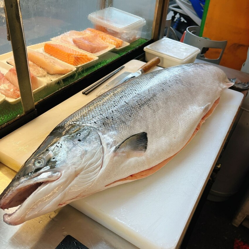 板橋隱藏版高CP值生魚片日式料理— 大家樂鮮魚舖，不用花大錢也可以享受日本進口的美味！超新鮮的口感吃一口