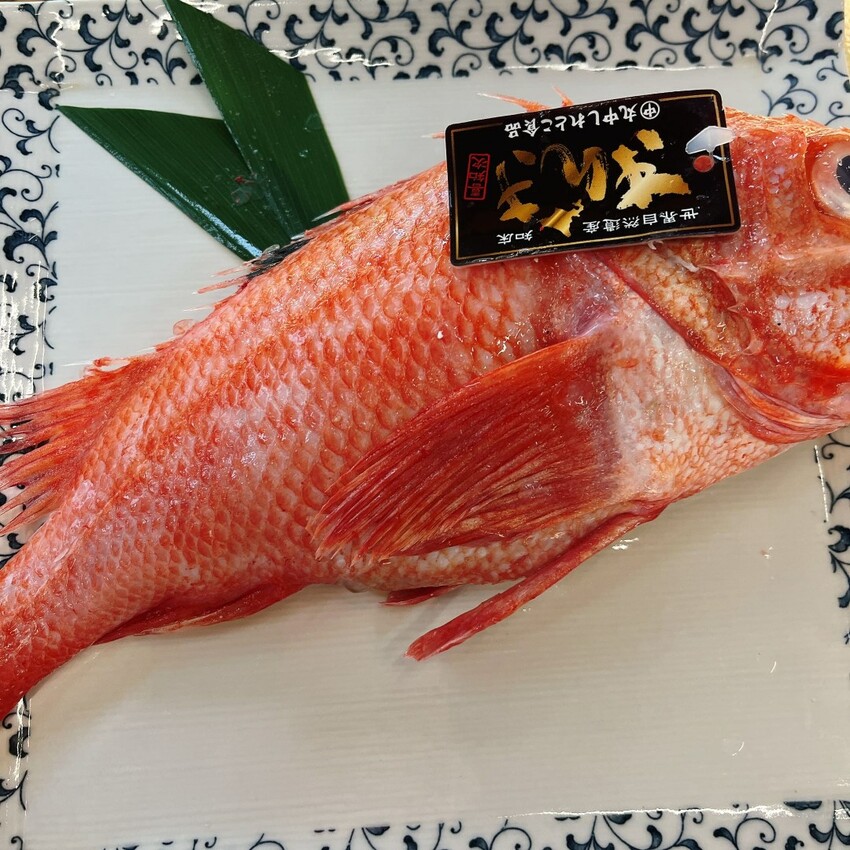 板橋隱藏版高CP值生魚片日式料理— 大家樂鮮魚舖，不用花大錢也可以享受日本進口的美味！超新鮮的口感吃一口