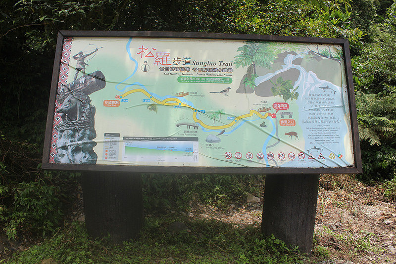 28406976568_ff675f1b4f_c